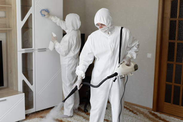 Best Crawl Space Mold Removal  in George Mason, VA