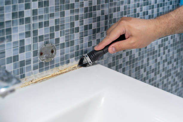 Best Mold Testing  in George Mason, VA